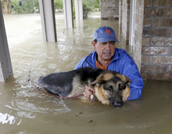 Joe Garcia carries his dog Heidi from his flooded home as he is rescued from rising floodwaters from Tropical Storm Harvey Monday, Aug. 28, 2017, in Spring, Texas. (AP Photo/David J. Phillip)